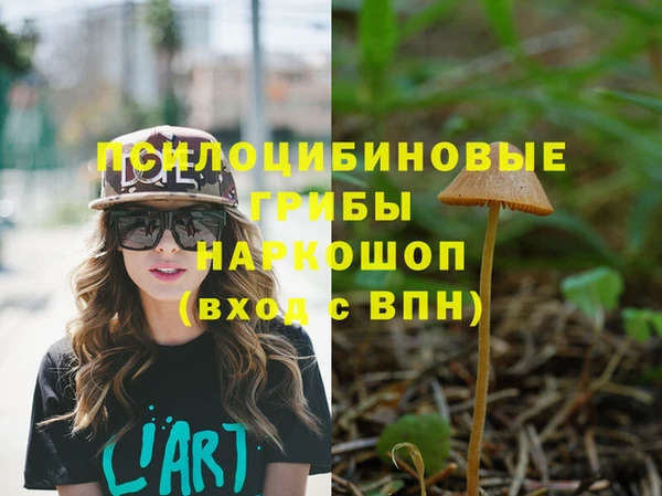 скорость Алексеевка